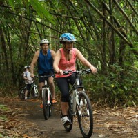 elderly bike tour bamboo forest