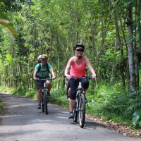 green quiet countryside