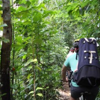 ride through shady tracks