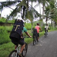 rural tracks bali