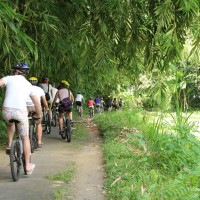 Daniel group - bamboo village