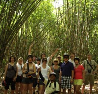 Daniel group - bamboo forest