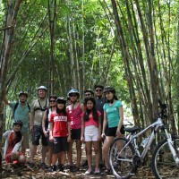 bamboo forest - lori's group