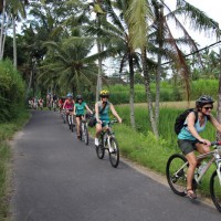 group bike ride