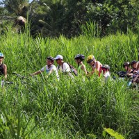rice paddies group tour