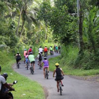 group bicycle tour