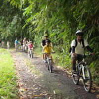 Christine group - bamboo village