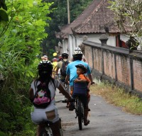 Christine group - backroad