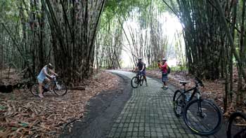 bamboo forest cycling tour
