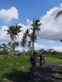 scenic rice paddies track