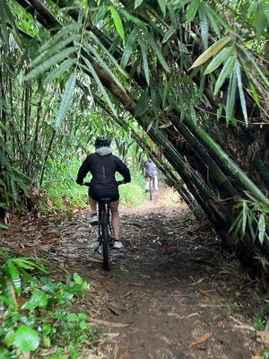 kylie - hiking cycling tour