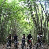 group photos at bamboo forest