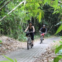 fun riding at bamboo forest