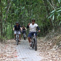 ride through the bamboo