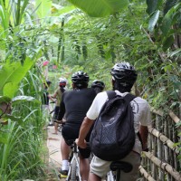 off-road through jungle