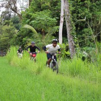 ride through rice paddies