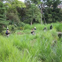 riding through riverside