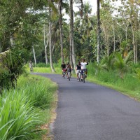 stunning countryside track