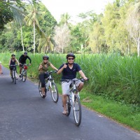 rice paddies surrounding