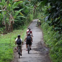 beautiful rural view