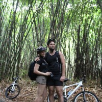 inside bamboo forest