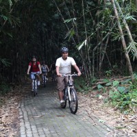 bike tour bamboo forest