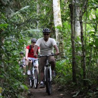 ride through plantation