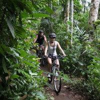 off road back trails