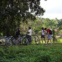 stops at pura taman water temple