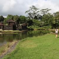amazing water temple