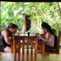 lunch amid rice paddies