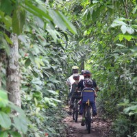 ride through jungle