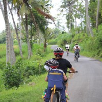 rural tracks bali