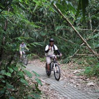 fun riding at bamboo forest