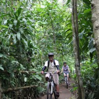 jungle track