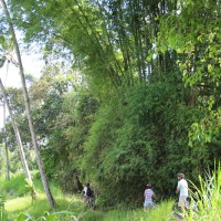 Lisa - Best cycling tour in Bali