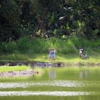 water reflection photos