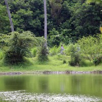 ride through small lake