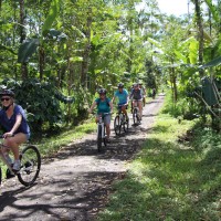 green countryside village