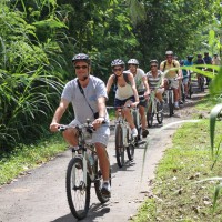 amazing green countryside back roads