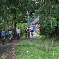 green village back roads