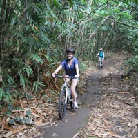 kaia in bamboo forest