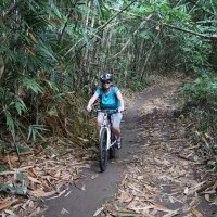 kelly inside bamboo forest
