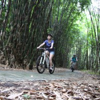 riding through bamboo forest