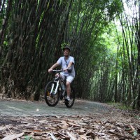 bamboo forest riding
