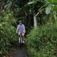 cycling through plantation