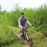 Bill's rice paddies track