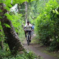 off road to bamboo forest