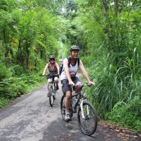 green quiet countryside