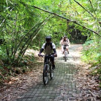 riding through bamboo forest